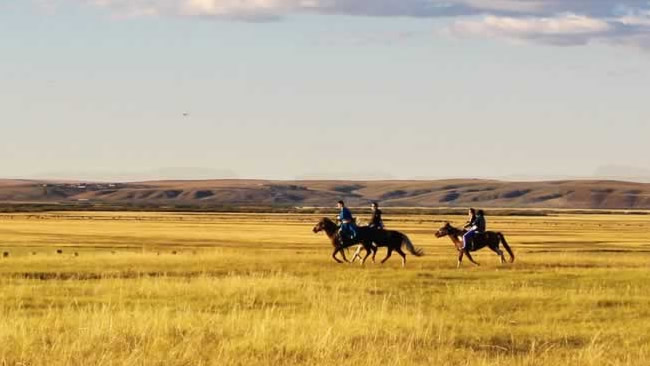 Westernurlaub Westernreiten PioneerTours